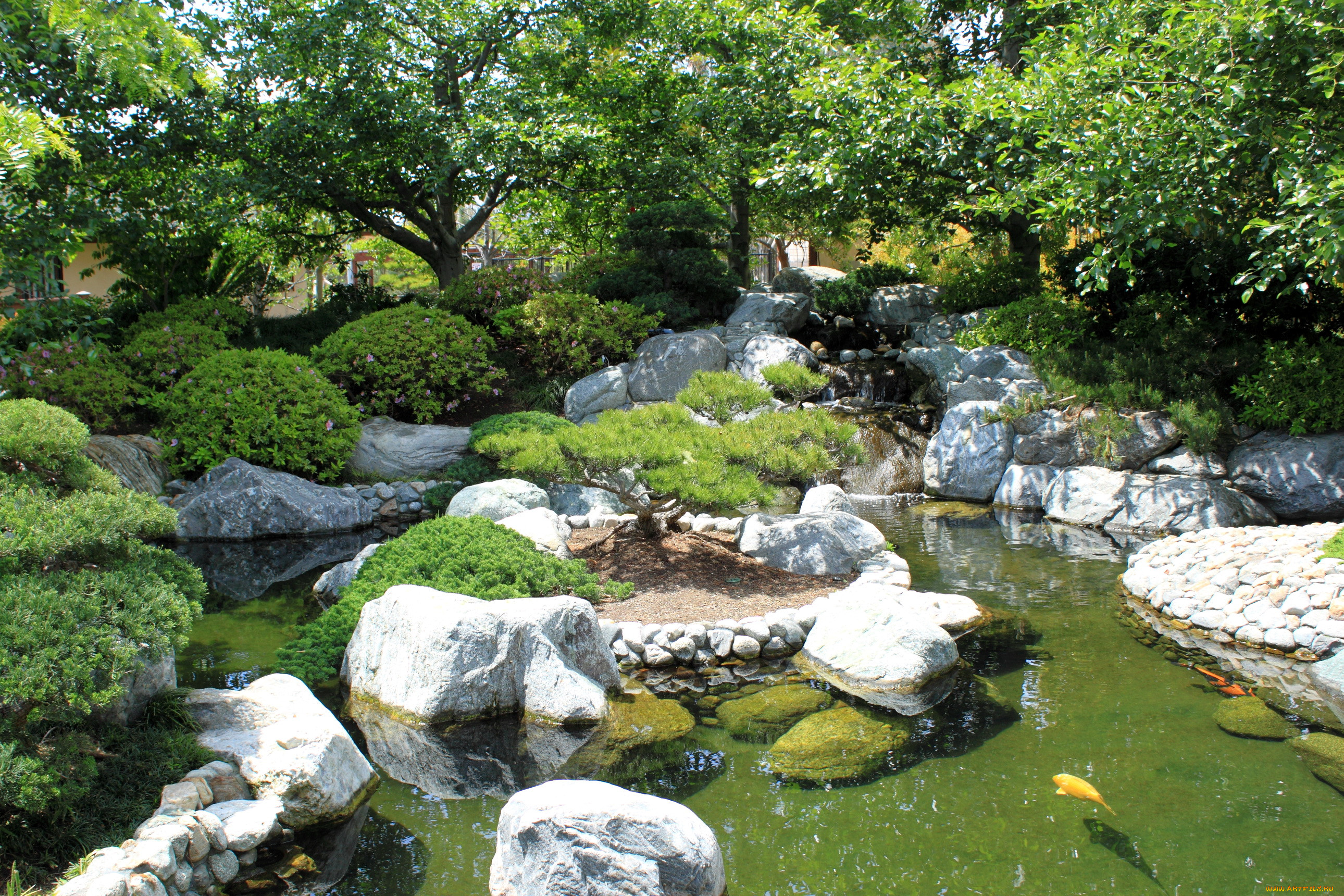 , , japanese, garden, balboa, park, san, diego, california